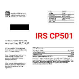 IRS CP501 Notice