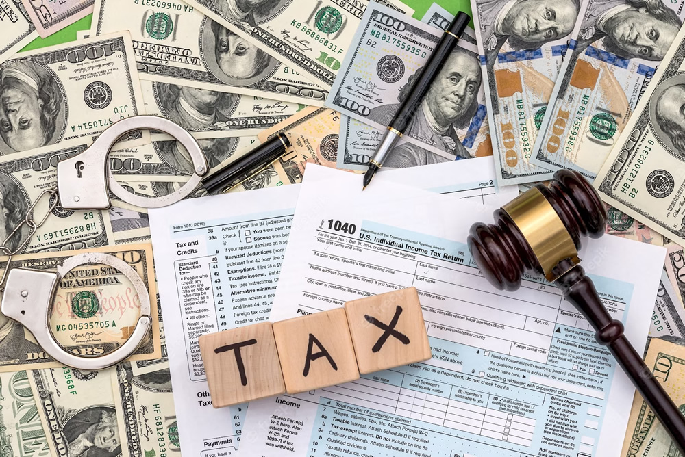 tax audit case
